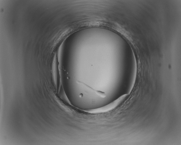 X0000070210013200605301414