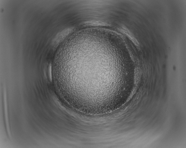 X0000070210014200605301414