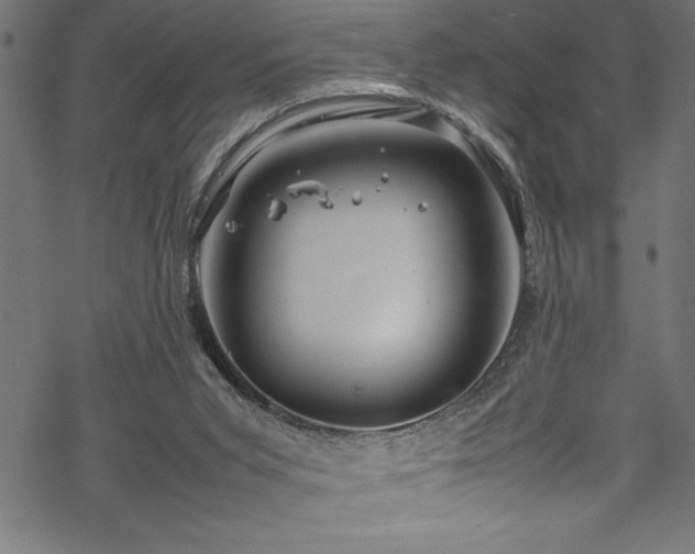 X0000070210015200605301414