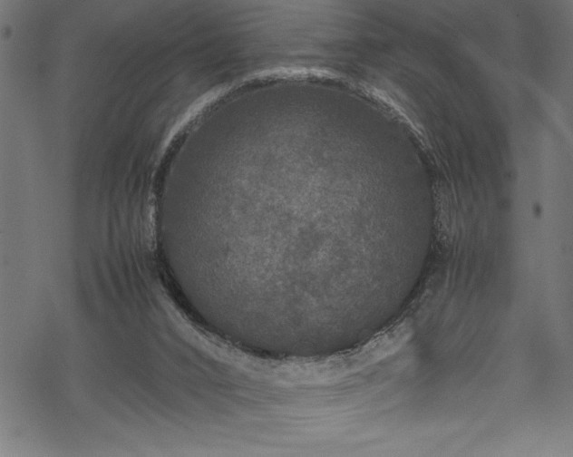 X0000070210016200605301414