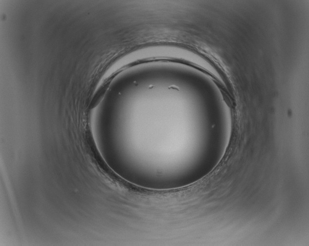 X0000070210017200605301414