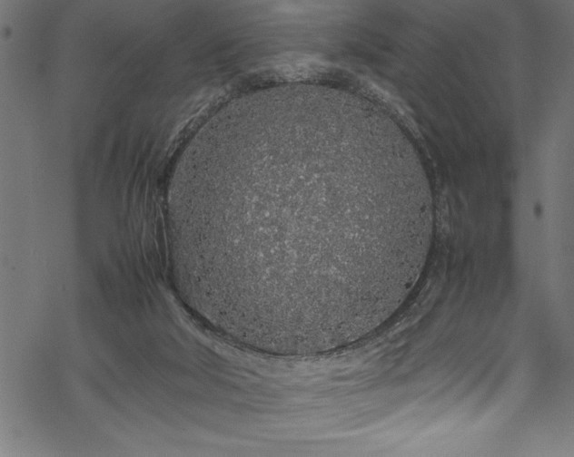 X0000070210018200605301414