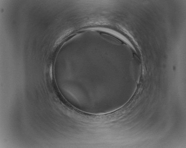 X0000070210019200605301414