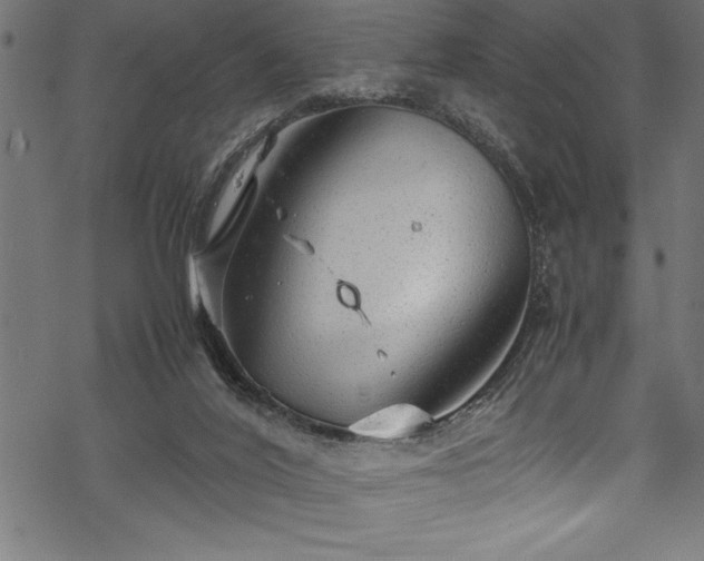 X0000070210020200605301414