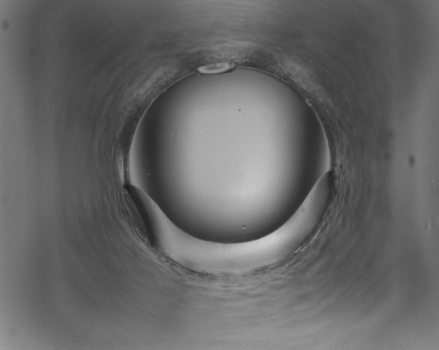 X0000070210021200605301414