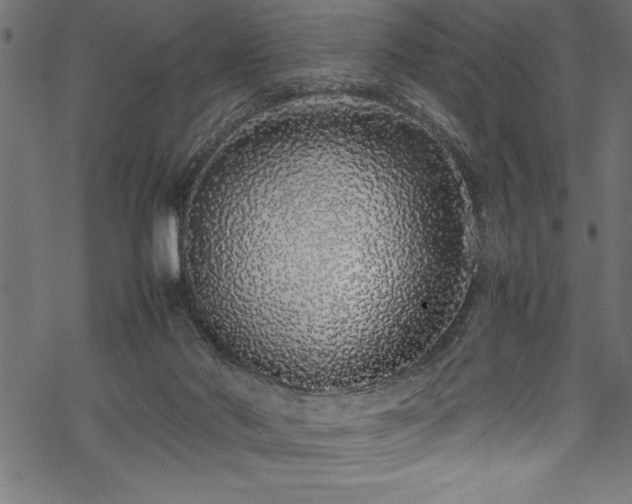 X0000070210022200605301414