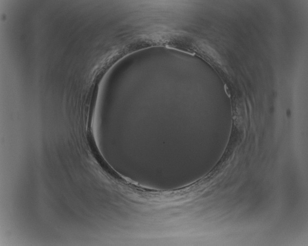 X0000070210023200605301414