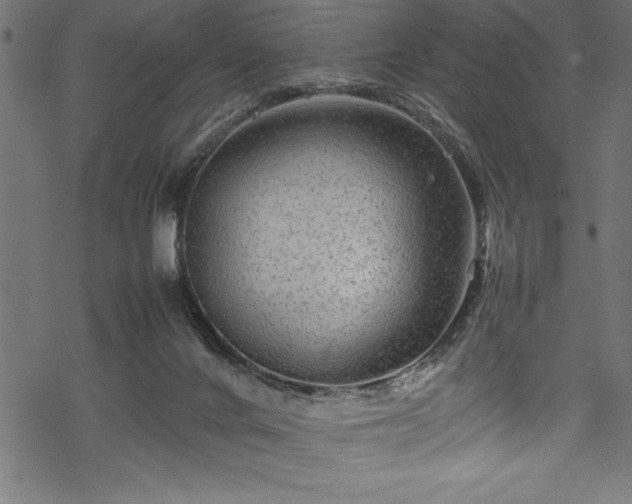 X0000070210024200605301414