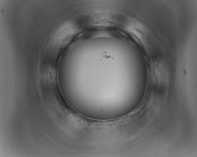 X0000070210025200605301414