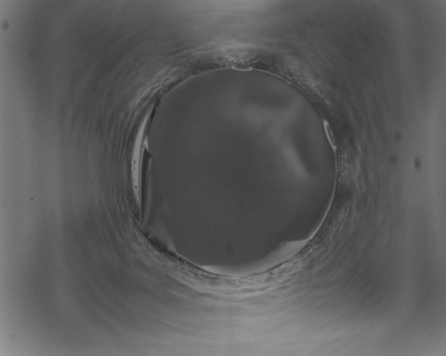 X0000070210027200605301414