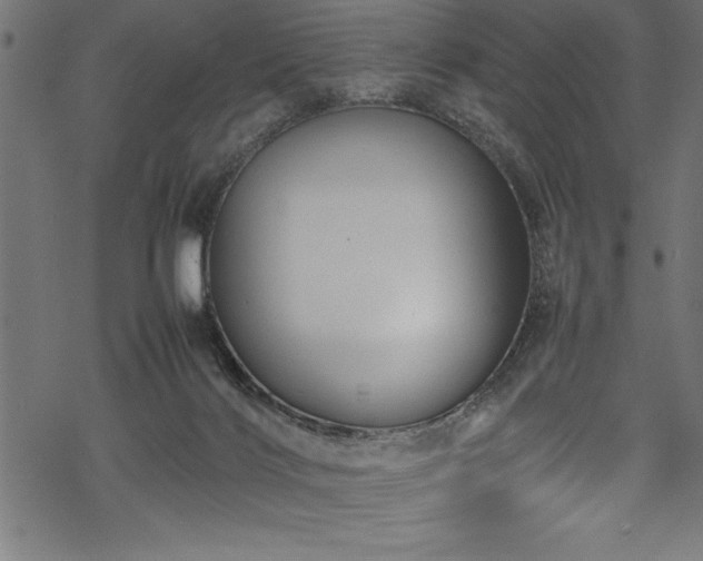 X0000070210028200605301414