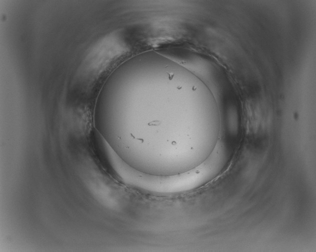 X0000070210029200605301414