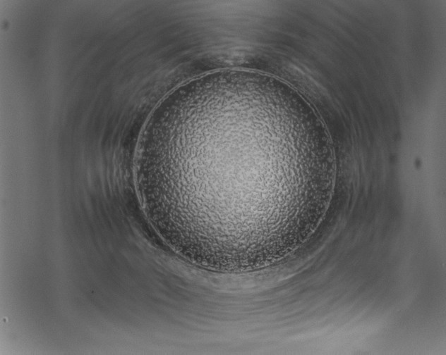 X0000070210030200605301414