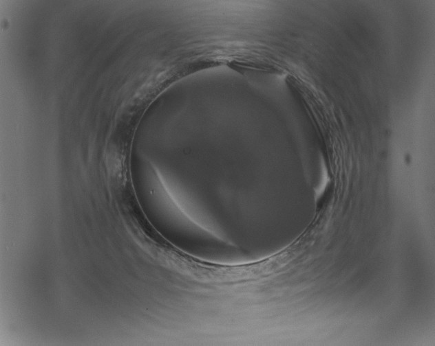 X0000070210031200605301413