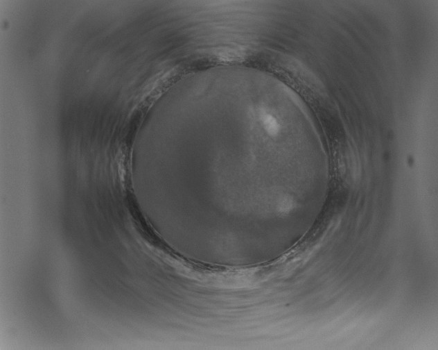 X0000070210032200605301413