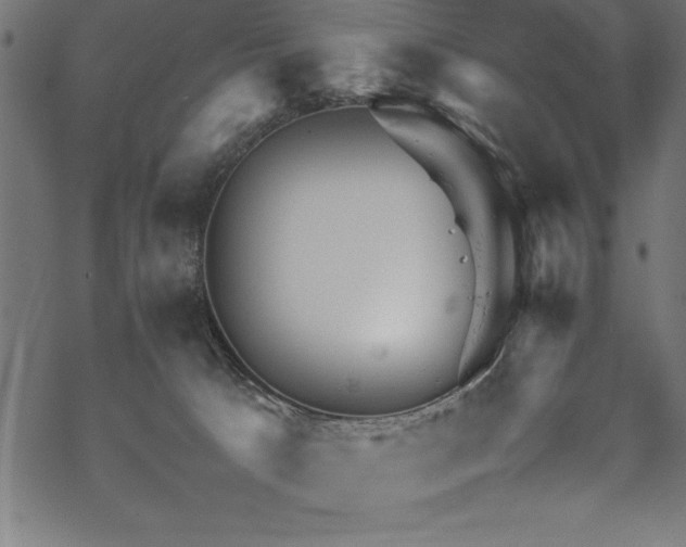 X0000070210033200605301413