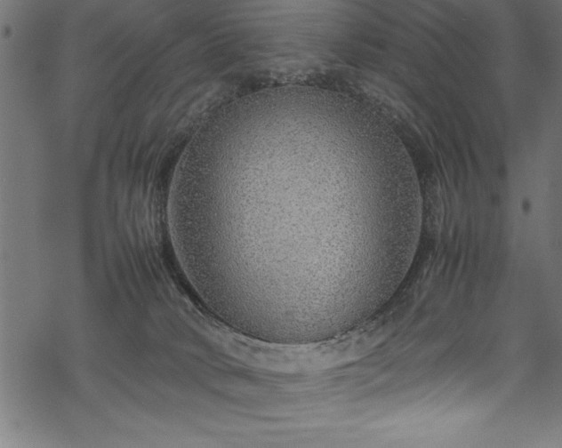 X0000070210034200605301413