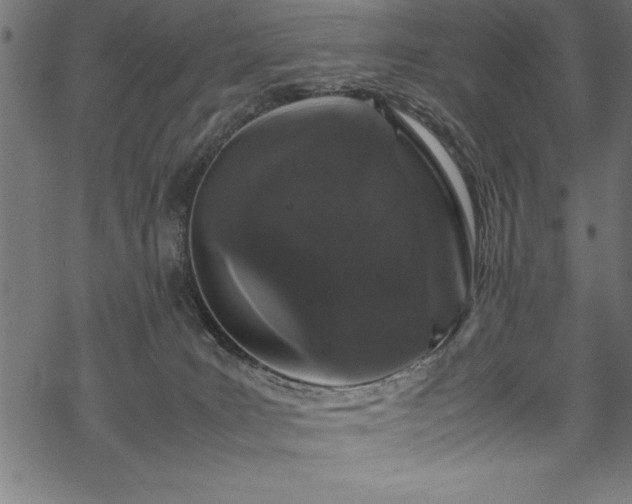 X0000070210035200605301413