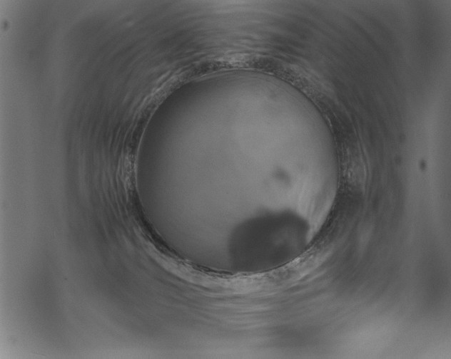 X0000070210036200605301413