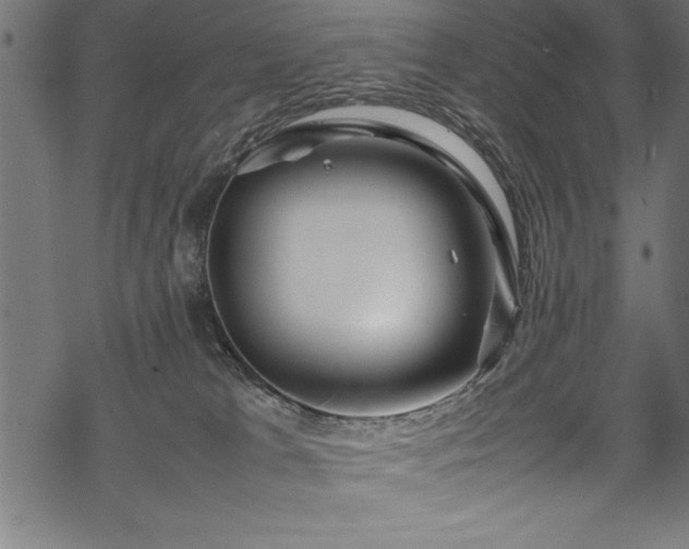 X0000070210037200605301413