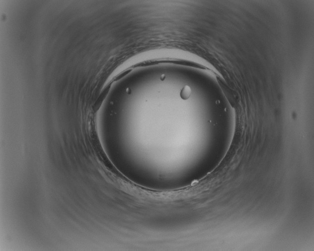 X0000070210038200605301413