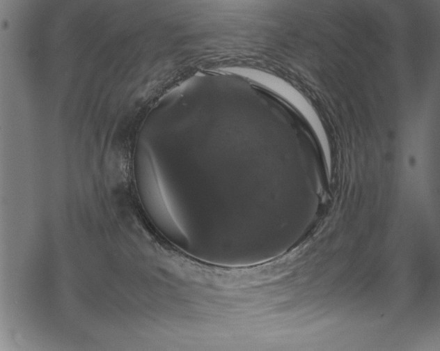 X0000070210039200605301413