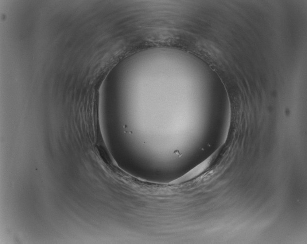 X0000070210040200605301413