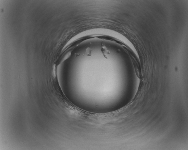 X0000070210041200605301413