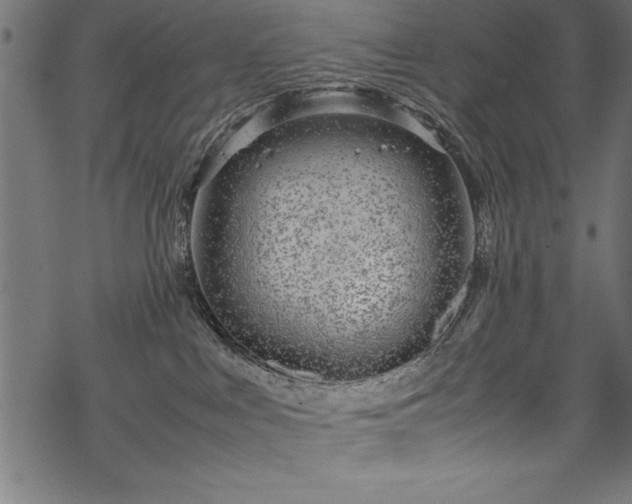 X0000070210043200605301413