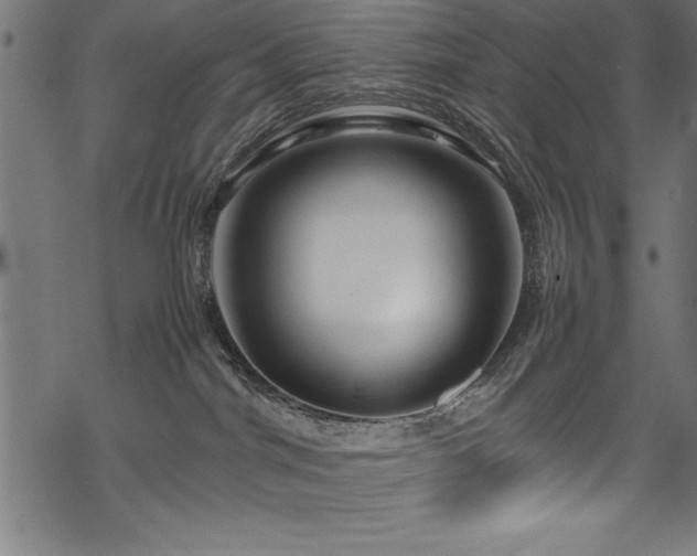 X0000070210044200605301413