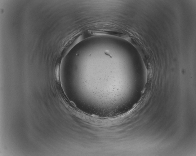 X0000070210047200605301413