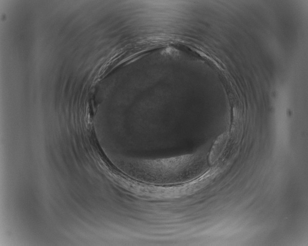 X0000070210048200605301413