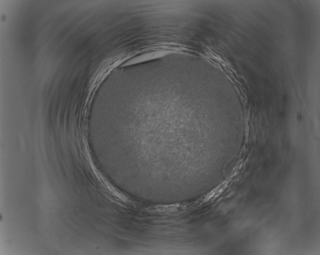 X0000070210049200605301412