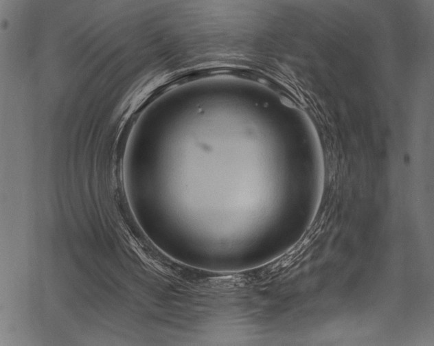 X0000070210050200605301412