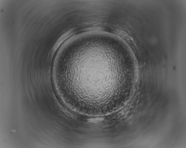 X0000070210051200605301412