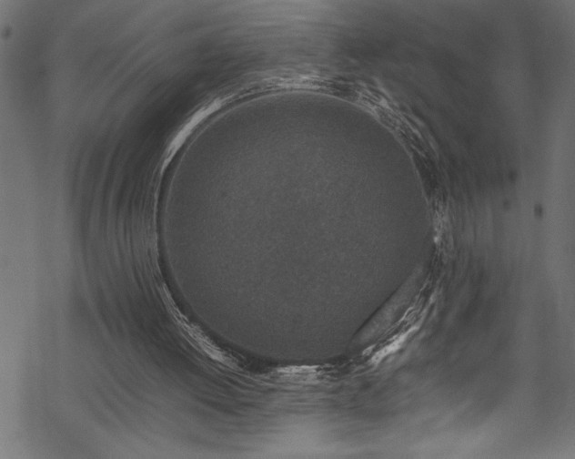 X0000070210052200605301412