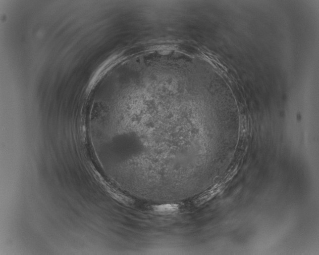 X0000070210053200605301413