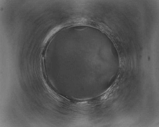 X0000070210054200605301413