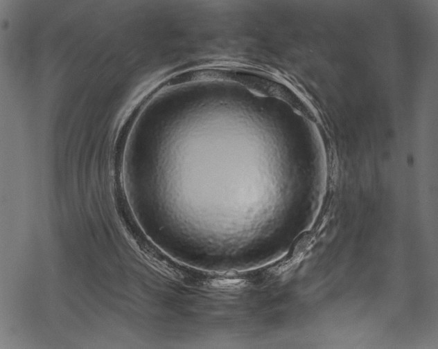 X0000070210055200605301413