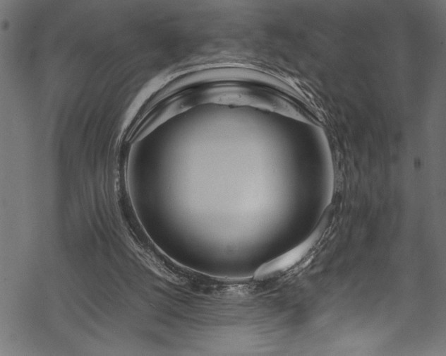 X0000070210056200605301413