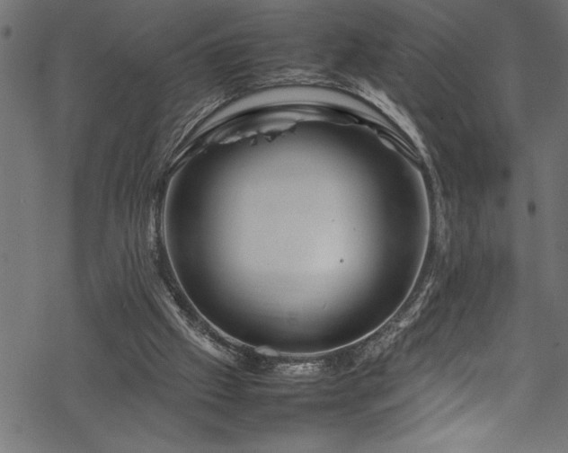 X0000070210057200605301413