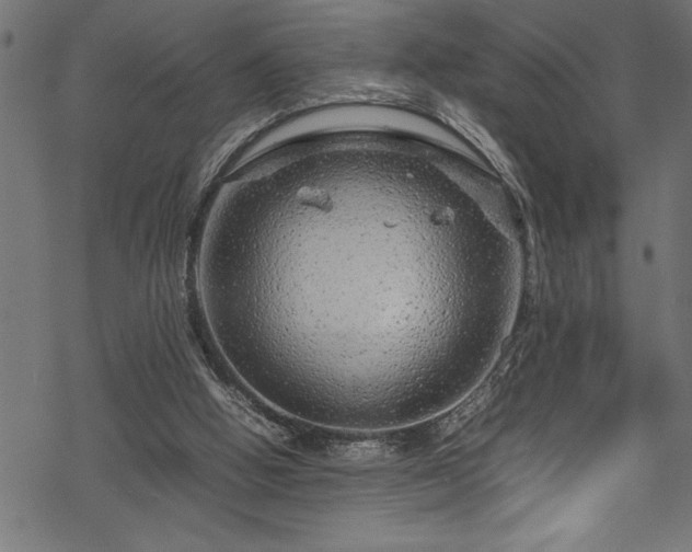 X0000070210058200605301413