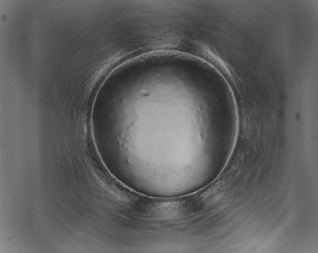 X0000070210059200605301413