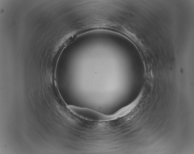 X0000070210060200605301413