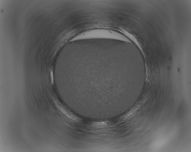 X0000070210061200605301413