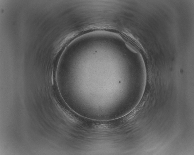 X0000070210062200605301413