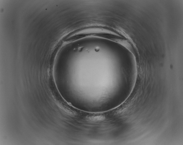 X0000070210063200605301413