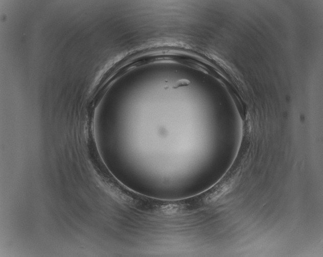 X0000070210064200605301413