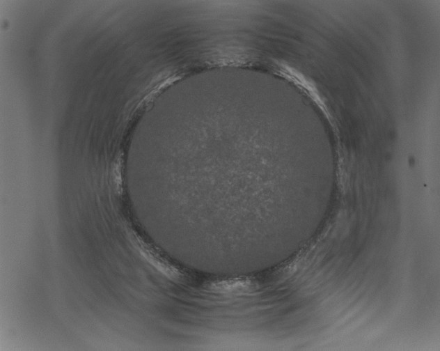 X0000070210065200605301413