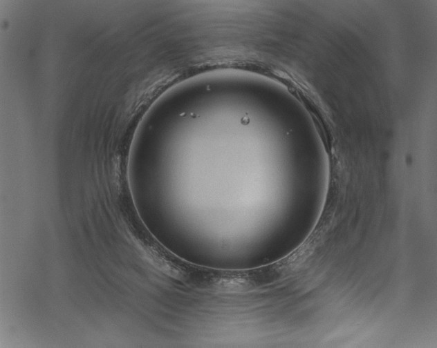 X0000070210066200605301413